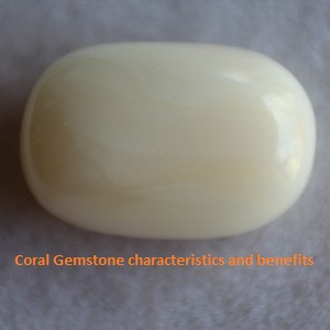 original-coral-stone-price